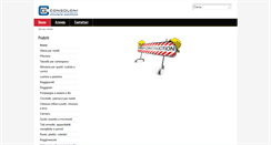 Desktop Screenshot of consoloni.com